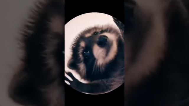 mum смотреть онлайн