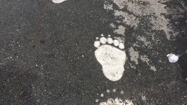 Природный Ванкувер без авто. Grouse Mountain смотреть онлайн