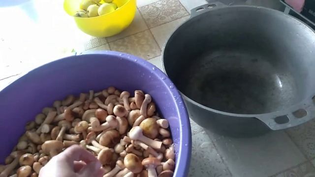 Маринованные опята на зиму / Быстрый способ ? смотреть онлайн