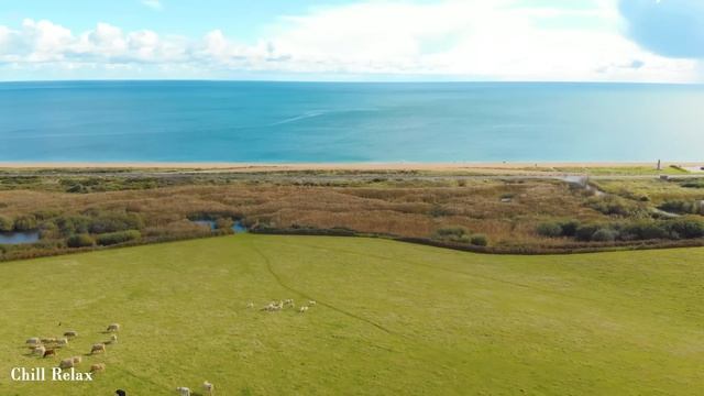 Лечебная Музыка для Снятия Стресса, Усталости, Депресии, Негатива, Детокс негативных эмоций смотреть онлайн