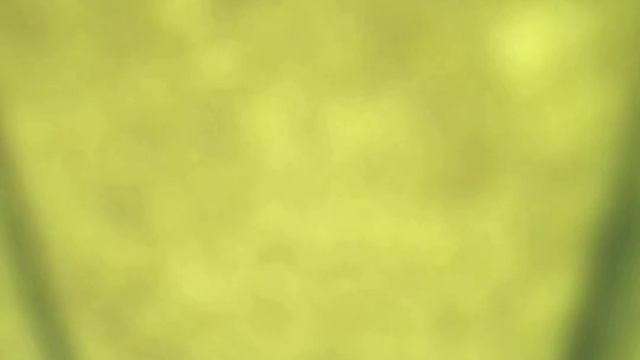 А.С. Пушкин. Осень. Часть 2 смотреть онлайн