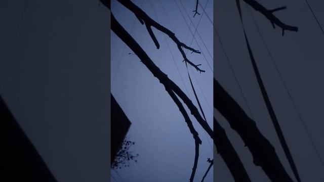 Играем в чин ганчи на задание😱😱😱😱😱 смотреть онлайн