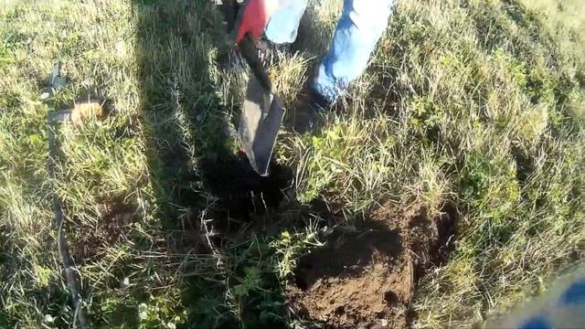 Погуляли по полю с Quest X10. смотреть онлайн