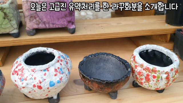 👍오늘은 작은 창을 심기에 딱 좋은 사이즈의 고급진 라꾸화분을 가져와서 환엽스텔라를 식재했어요 #라꾸화분 смотреть онлайн