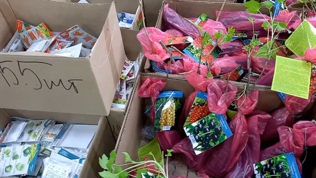 ?СВЕТОФОР?Я ТАКОЕ ВИЖУ В ПЕРВЫЕ ? Завалило Новинками и уже в Продаже. Всё для сада и огорода смотреть онлайн