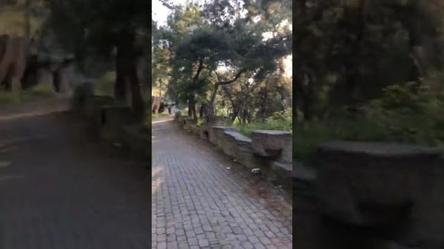 Naturland , заброшенный отель в Чамьюва смотреть онлайн