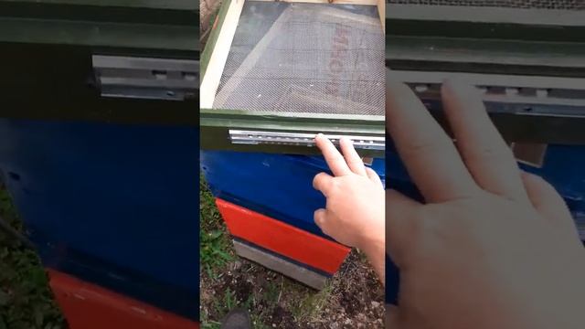 3.06.21 Сделал ульи из эппс (40мм) с деревянной обвязкой и дно с сеткой. смотреть онлайн