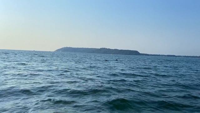 Miramar Beach Goa | Dolphin Watching Boat Tour, Goa | Sunset At Miramar Beach