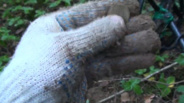 Удачный коп! Богатая лесная дорога! Good searching Metal Detector in the woods смотреть онлайн