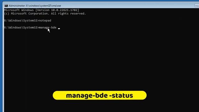How to Bypass BitLocker Blue Screen in Windows 10/11 (2 Methods) 2023 смотреть онлайн