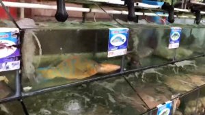 Хайнань. Санья. Еда. Цены. Как питаться на острове Хайнань. Все виды питания. Уличные кафе Часть 1