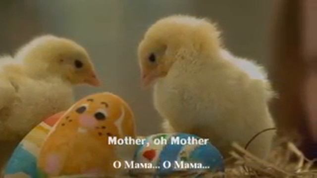 Нашид про маму смотреть онлайн