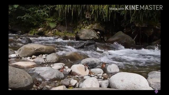 Магия и сила природы!