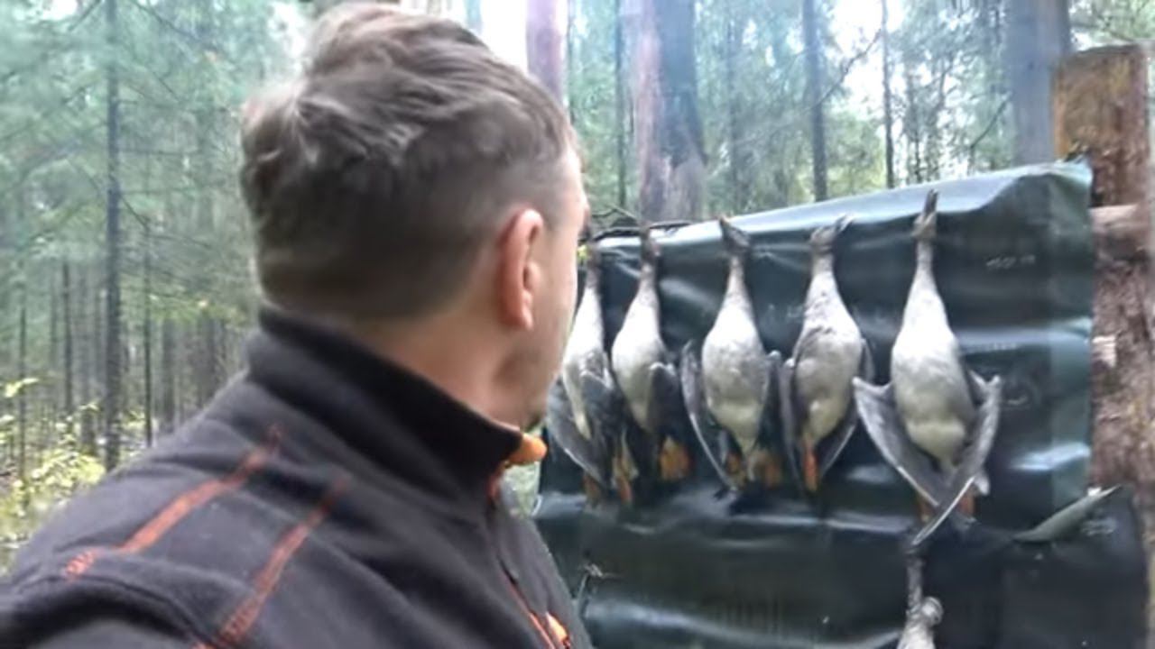 Охота на осеннего гуся\утку #19 смотреть онлайн