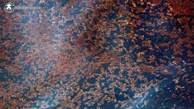 Пётр Гаряев - Генетический хаос смотреть онлайн