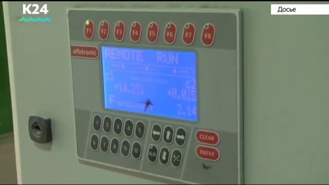 День работника сельского хозяйства отпраздновали в Алтайском крае смотреть онлайн