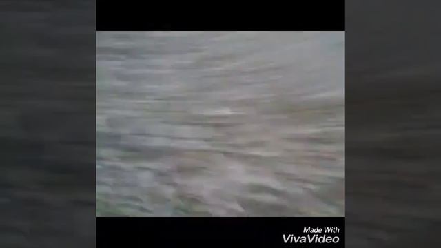 Прогулка смотреть онлайн
