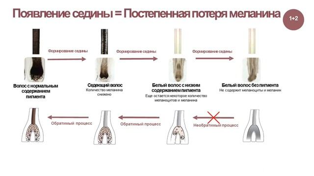 Актив Грейверс смотреть онлайн