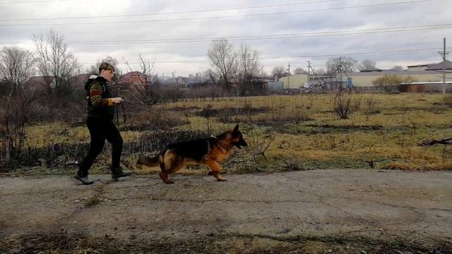 Аргентум 9 мес смотреть онлайн