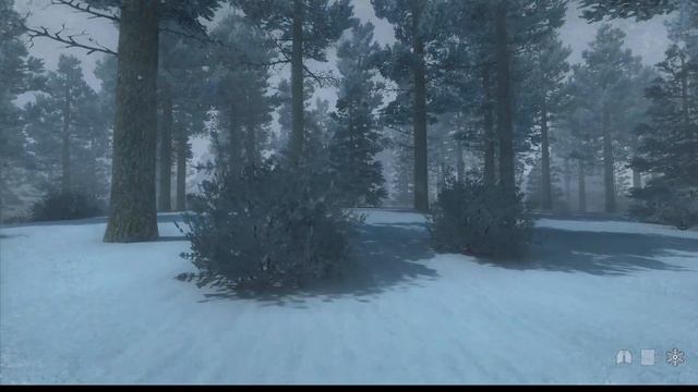 Alone In Windstorm. Выжить любой ценой.