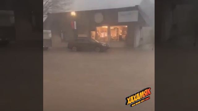 Зашквар человеческий! #1 смотреть онлайн