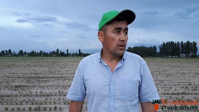 Химобработка свекловичного поля. Основные моменты по технологии применения СЗР. смотреть онлайн