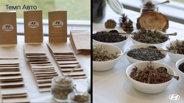 Осень с полным приводом Hyundai! Презентация нового SANTA FE. 23 сентября 2018г. Темп Авто. смотреть онлайн