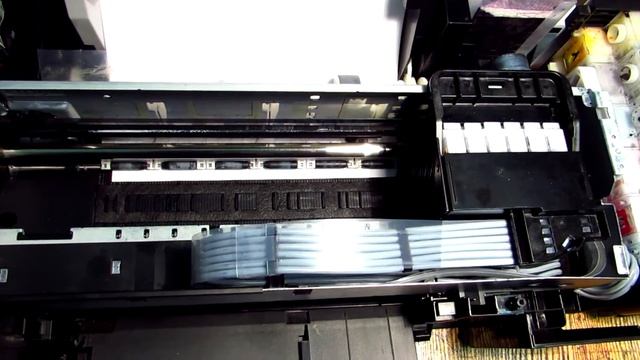 Epson L800 - во время захвата бумаги останавливается. Что делать? смотреть онлайн