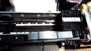 Epson L800 - во время захвата бумаги останавливается. Что делать?