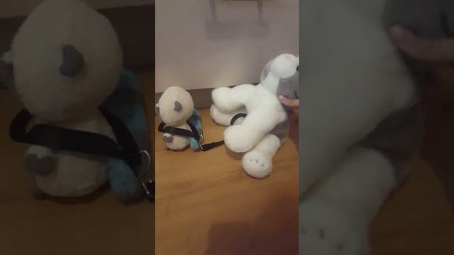 10 типов хозяев смотреть онлайн