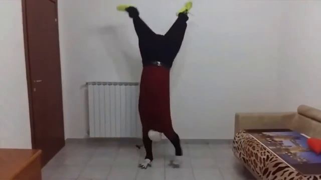 СУПЕР ДЭНС от мужа ☆☆☆ вверх ногами ☆☆☆ смотреть онлайн