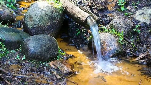 Шейх ат-Тарифи: Описание молитвы Пророка ﷺ. Часть: 8. смотреть онлайн