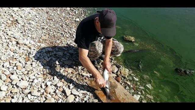 Судаки бабьего лета. смотреть онлайн
