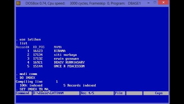 Indirect Commands (Programming) in DBase смотреть онлайн