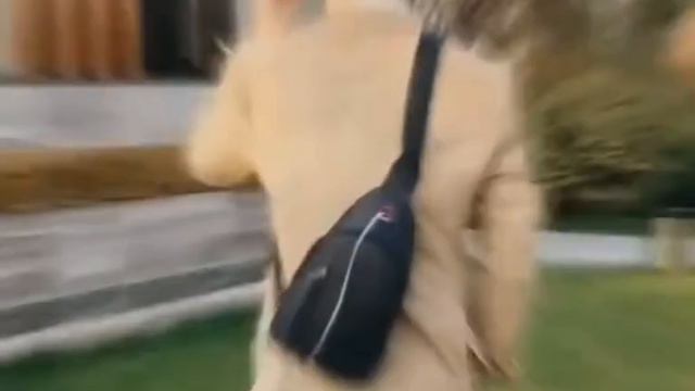 Сумка через плечо Оксфорд смотреть онлайн