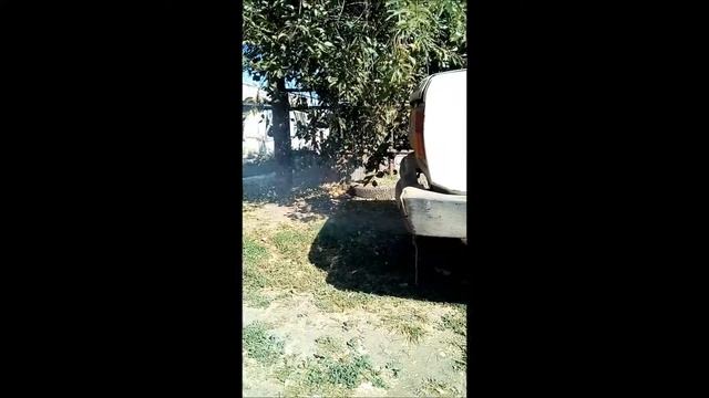 Бешеная петарда и нереальный выхлоп! смотреть онлайн