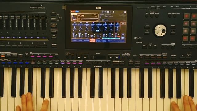 Lian Ross - Say You'll Never New Style ( Korg Pa5x Musikant & Danekoo1 )