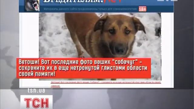 Догхантеры. Работа оперативной группы смотреть онлайн
