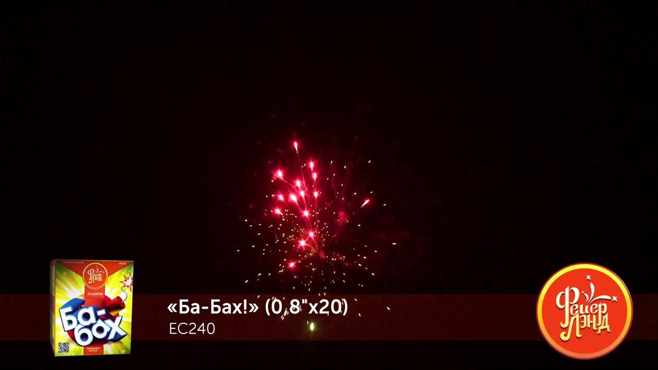 EC240