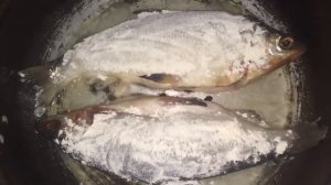 Сырок. Жаренная рыба, очень вкусно!