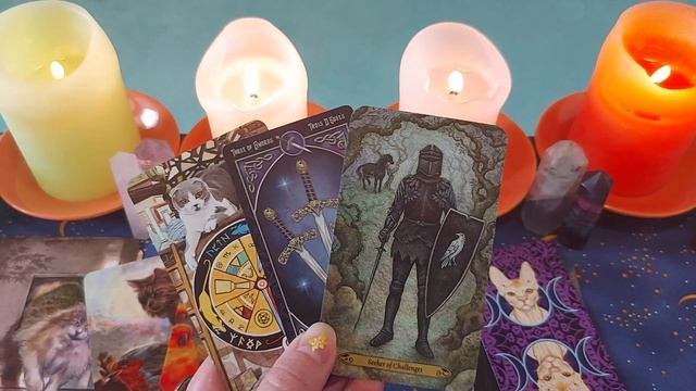 ?Что хочет сказать ушедший на Радугу домашний питомец-любимец ✨️✨️ смотреть онлайн