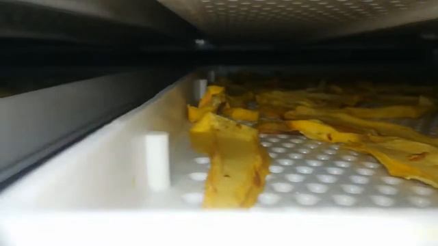 Сушка фрукта манго в холодной сушилке КЭСК дешевле сублимационной технологии при том же качестве смотреть онлайн