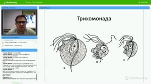 ЖИЗНЕННЫЕ ЦИКЛЫ ВСЕХ ПАРАЗИТОВ ДЛЯ ЕГЭ И ОГЭ