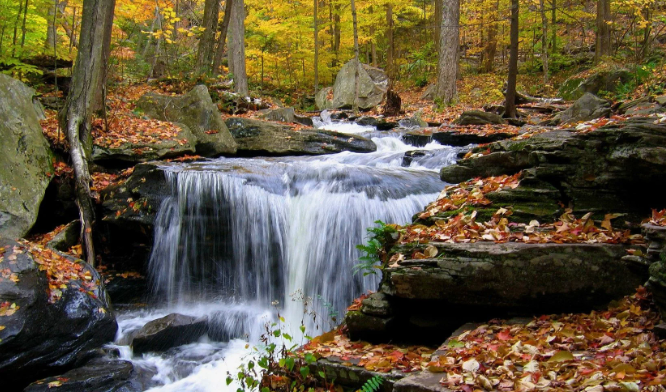 Звуки водопада - Расслабляющее видео природы - Белый шум ✦ Релакс ✦ Релаксация смотреть онлайн