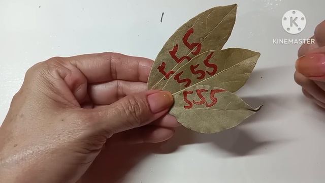 3 DAHON ng LAUREL May 5 FULLMOON ! Pagbukas SWERTE Na Ikababago Ng Buhay at PAMILYA! смотреть онлайн