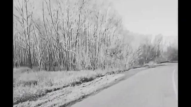 Дезертир поневоле.#история #рассказ #армия смотреть онлайн