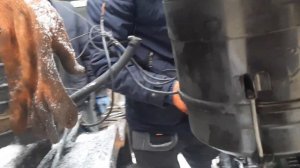 мтз-1025 сборка двухдискового сцепления.Замена выжимного и сальника коленвала мтз-1025.Жарим Шашлик