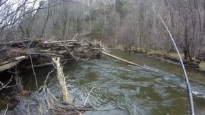 Горная рыбалка