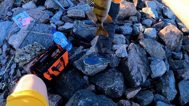 Окунь!!!Рыбалка на дамбе!!! Финский залив#fishing#дамба#ловляокуня #рыбалка2022 #рыбалкаспб#джиг смотреть онлайн