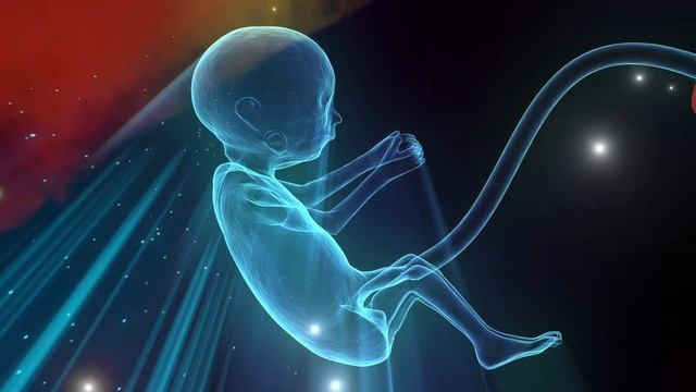 [광고없는] 신생아 백색소음 심장소리 엄마뱃속자궁소리 / 수면교육 / 아기 재우기 / 쉬소리 물소리 바람소리 ASMR / 미국수면의학회추천 #whitenoise #babyslee